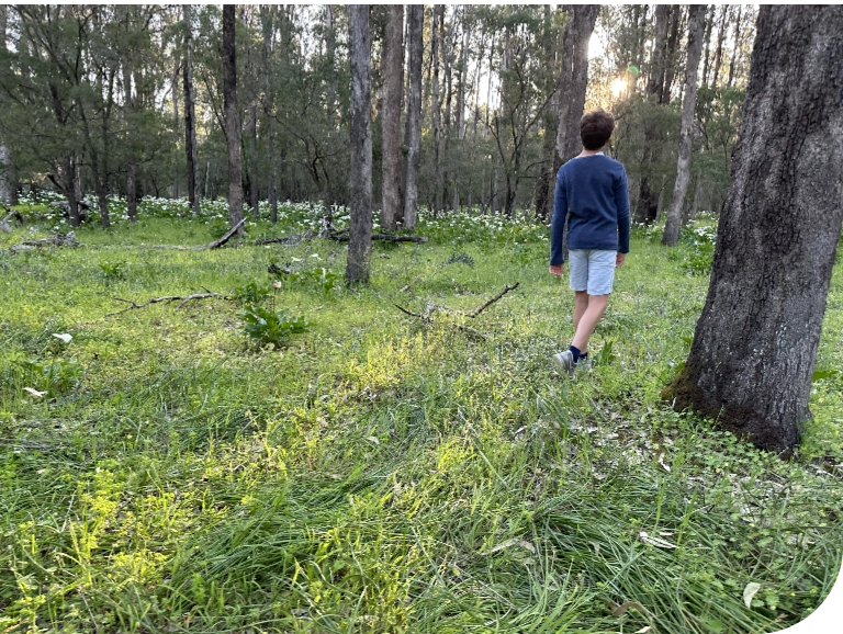 Busselton Embark Busselton Land Estate Land For Sale Busselton